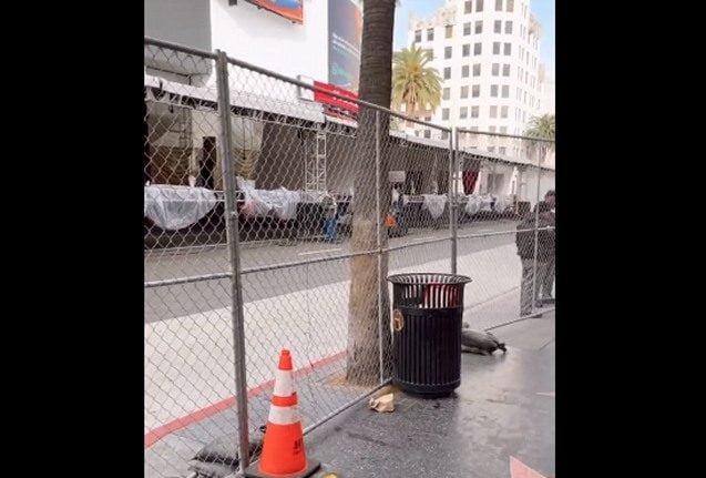 Hollywood Hypocrites BUILT A WALL Around the Oscars to Keep Celebrities Safe