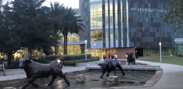 Campus Reform: Student Denied Access to Mental Health Therapy Group For Being White