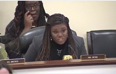 “A Despicable and False Attack” – Energy Expert Alex Epstein Owns Squad Member Cori Bush After She Hurls Racism Charges at Him during Hearing (VIDEO)