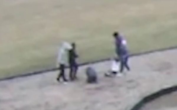 THANK A DEMOCRAT: CCTV Captures White Children Being Rounded Up By Black Children at Ohio School, Then Forced to Kneel and Pledge to BLM before Being Assaulted (VIDEO)