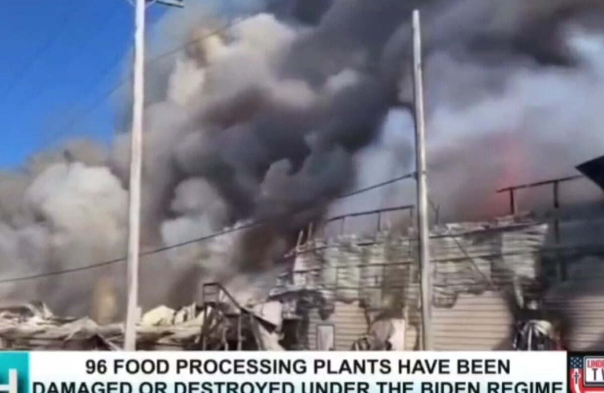 One Way To Keep Your Family Fed and Safe in a Crisis