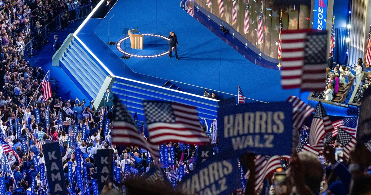  DNC Finance Committee Member Calls for Audit of Kamala Harris Campaign: ‘People Became Millionaires’ (VIDEO)