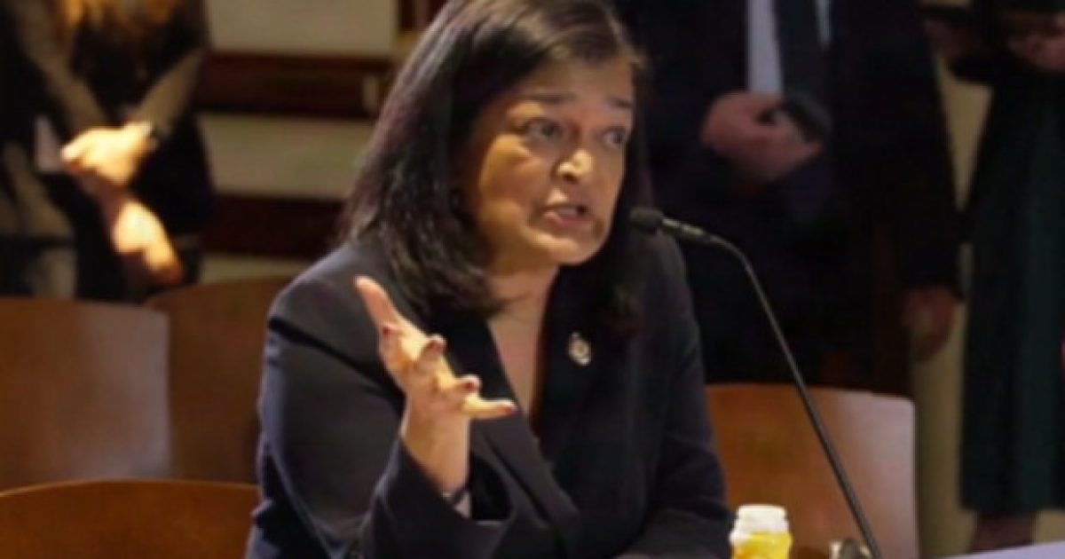 Far Left Rep. Pramila Jayapal Wants Americans to Pay Reparations to Illegal Aliens Who Have Been ‘Traumatized’ by ICE (VIDEO)